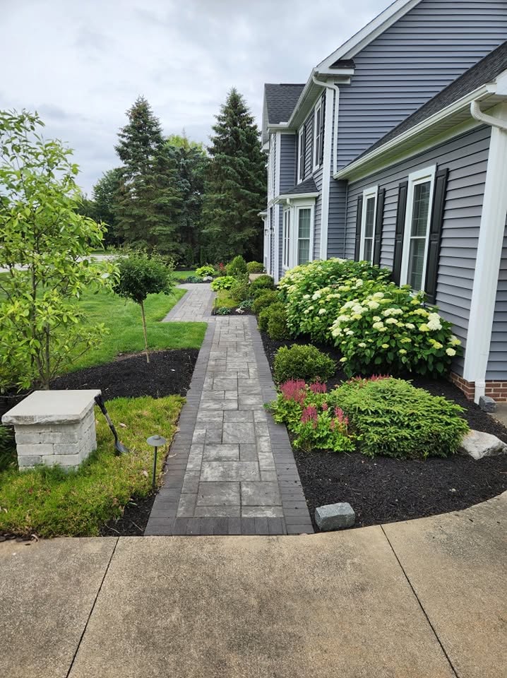 Paver Walkway with Hydrangeas