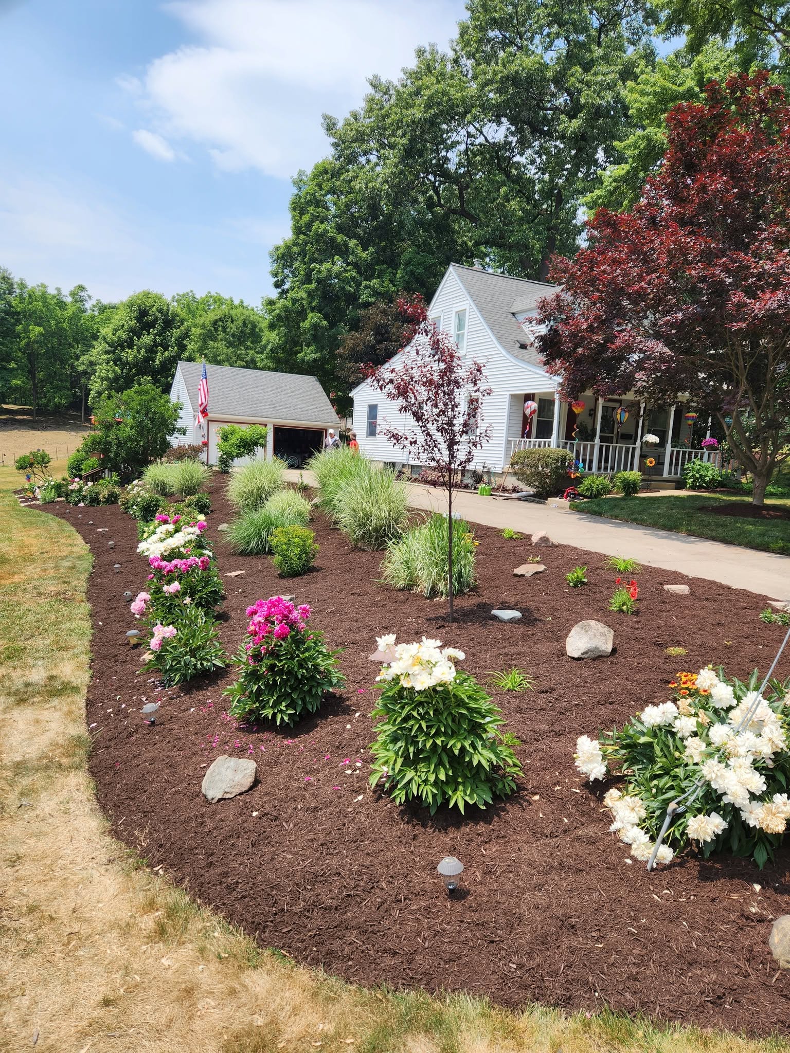 Peony Garden with Ornamental Grasses